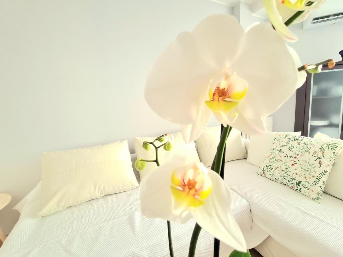 Aa Guest - El Mono De Torre Del Mar Eco Apartment Bagian luar foto