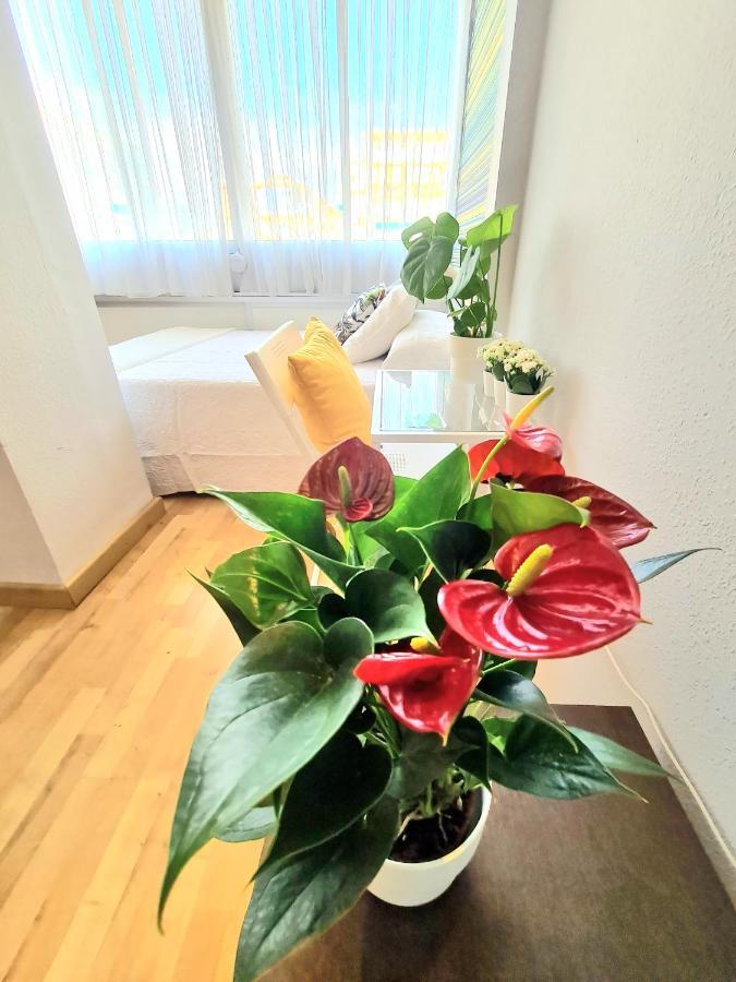 Aa Guest - El Mono De Torre Del Mar Eco Apartment Bagian luar foto